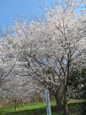 IMG_5997.jpg