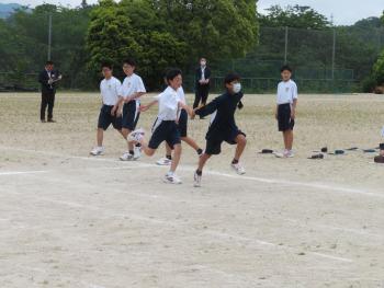 IMG_7177.jpg