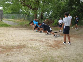 IMG_7528.jpg