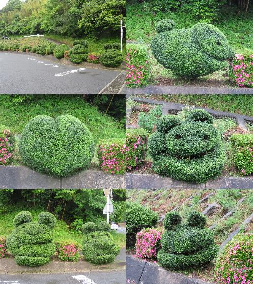 植栽.jpg