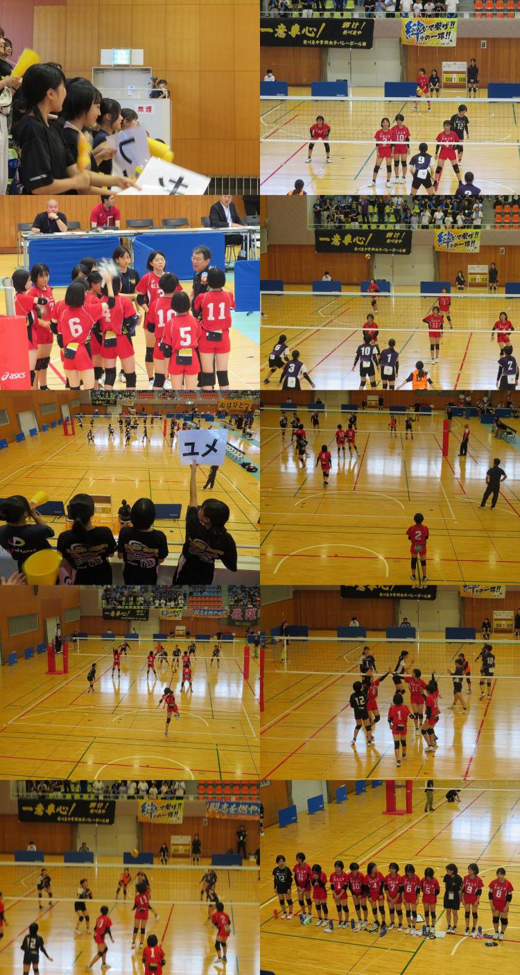 女子バレーボール.jpg