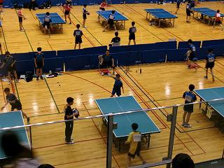 100_0335.jpg
