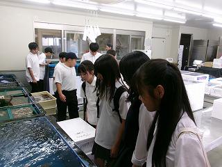 100_0999.jpg