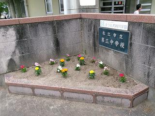 ⑤.jpg