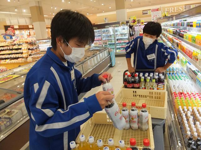 ひまり(3日目) (1).jpg