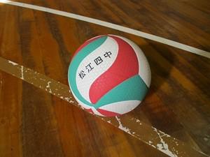画像302.jpg
