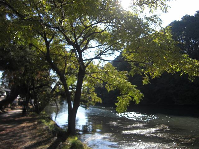 CIMG3822.jpg