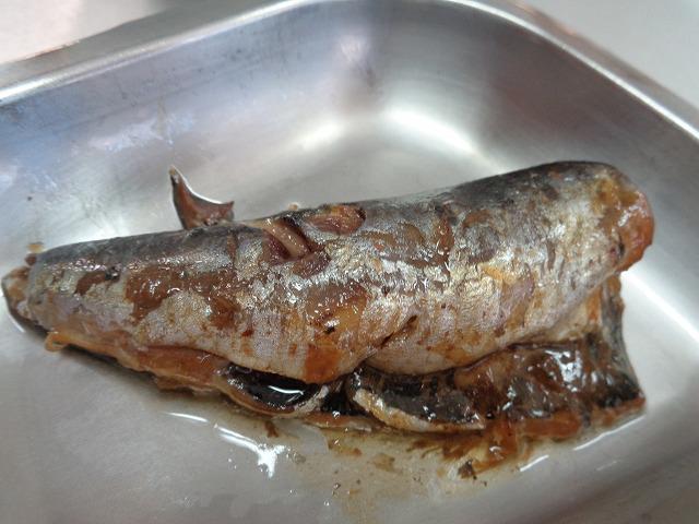 DSC00155.jpg
