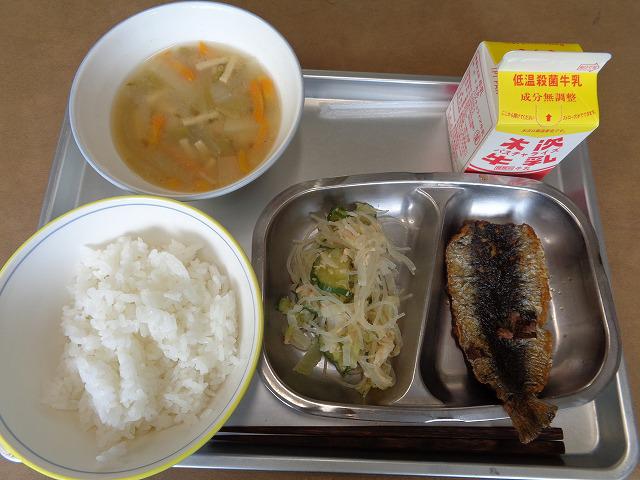DSC00247.jpg