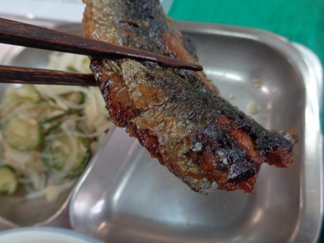 DSC00248.jpg