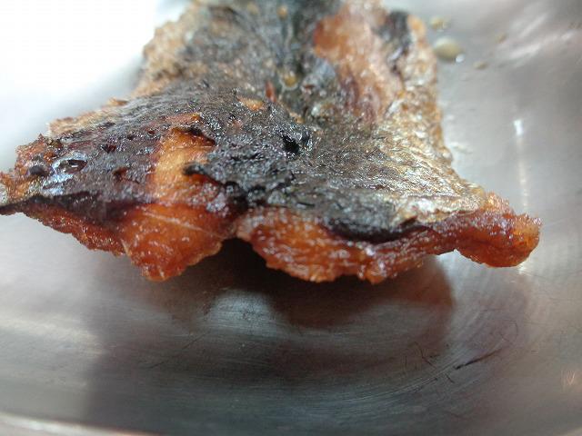 DSC00254.jpg