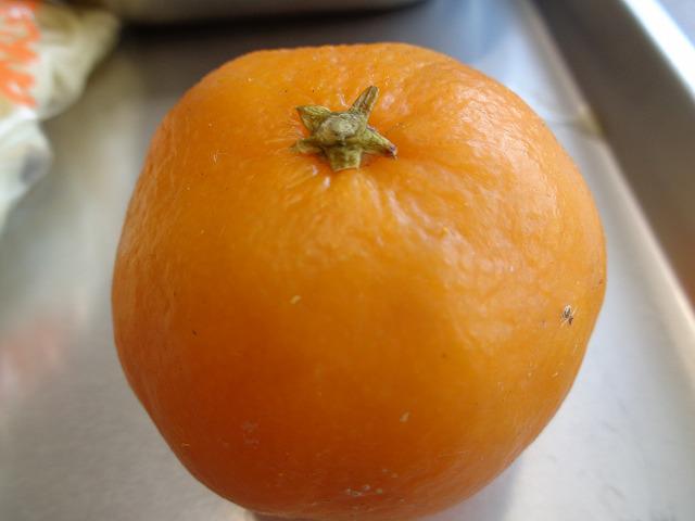 DSC00269.jpg