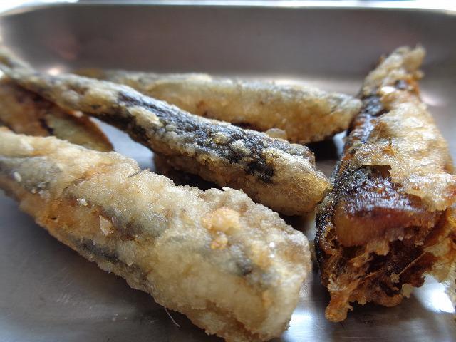 DSC00295.jpg