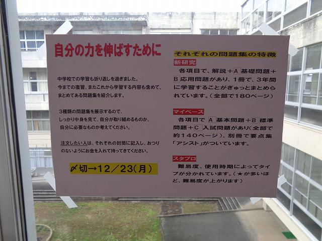 DSC00356.jpg