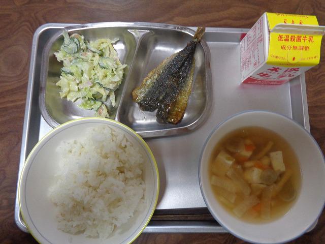 DSC00443.jpg