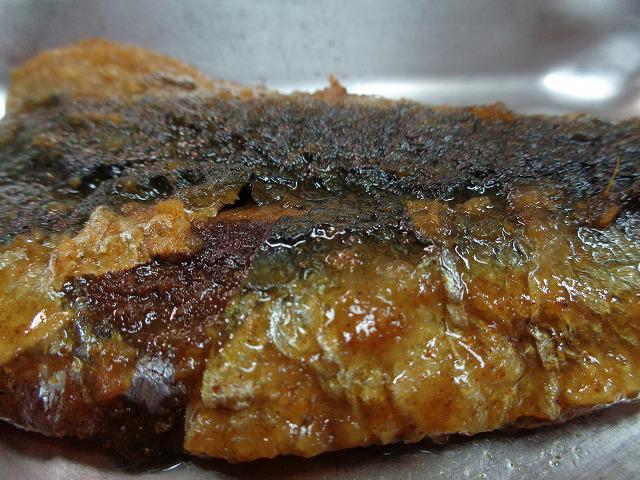 DSC00446.jpg