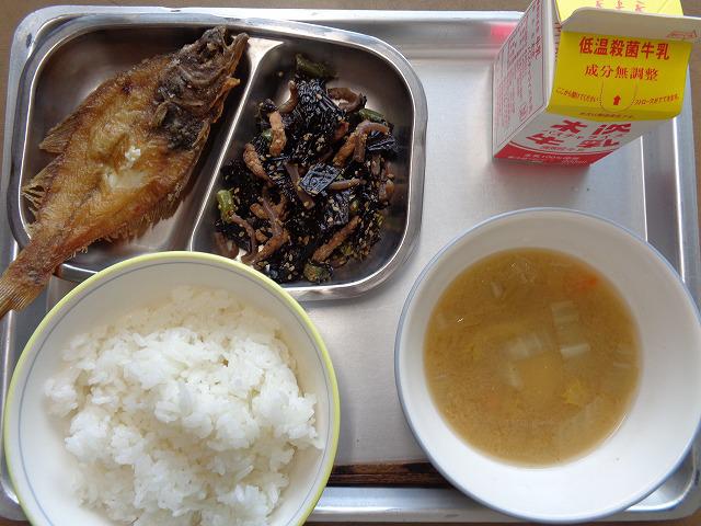 DSC00478.jpg