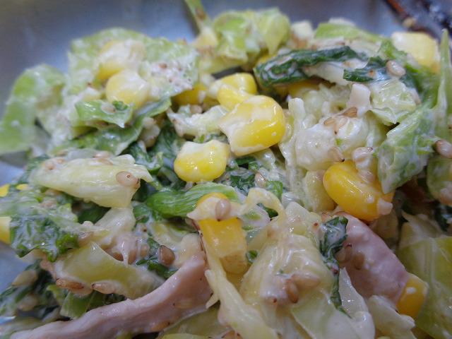 DSC00515.jpg