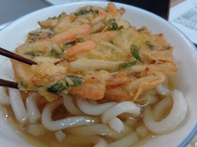 DSC00583.jpg