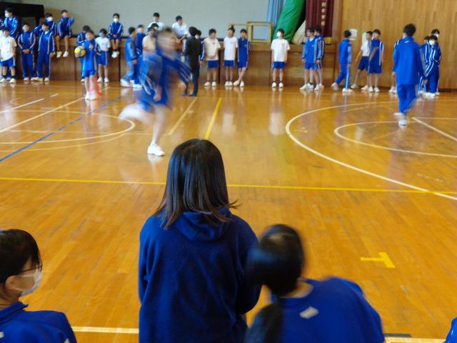 DSC00606.jpg