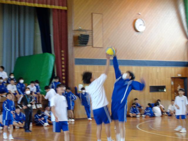 DSC00652.jpg