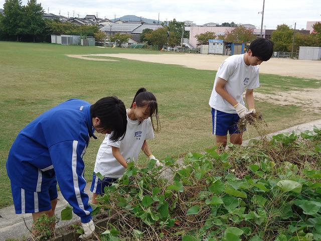 DSC01457.jpg