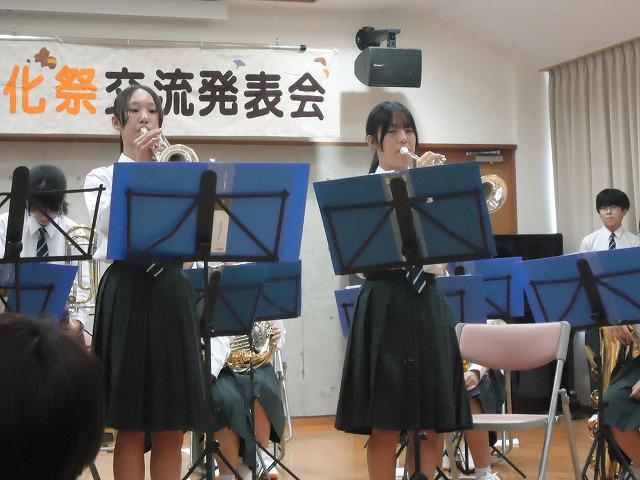 DSC01820.jpg