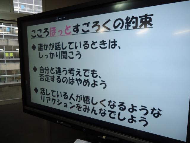 DSC02041.jpg