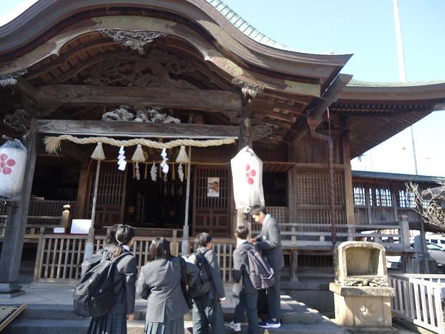 DSC02361.jpg