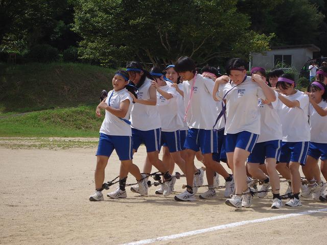 DSC02412.jpg
