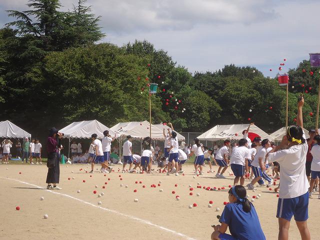 DSC02415.jpg