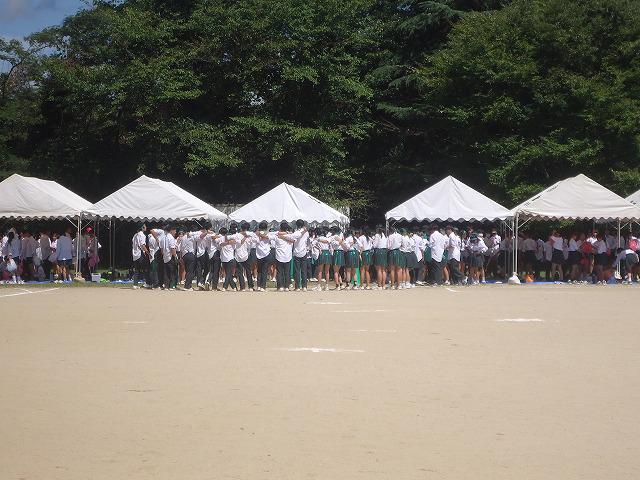 DSC02418.jpg
