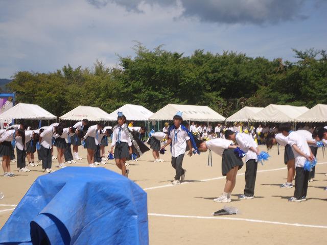 DSC02422.jpg