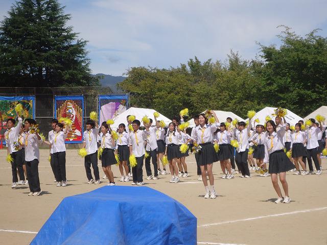 DSC02440.jpg