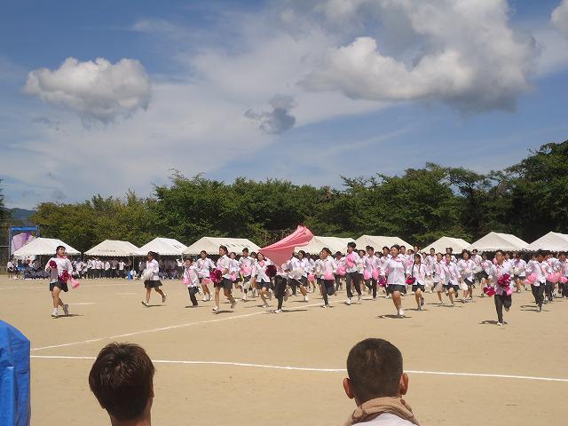 DSC02451.jpg