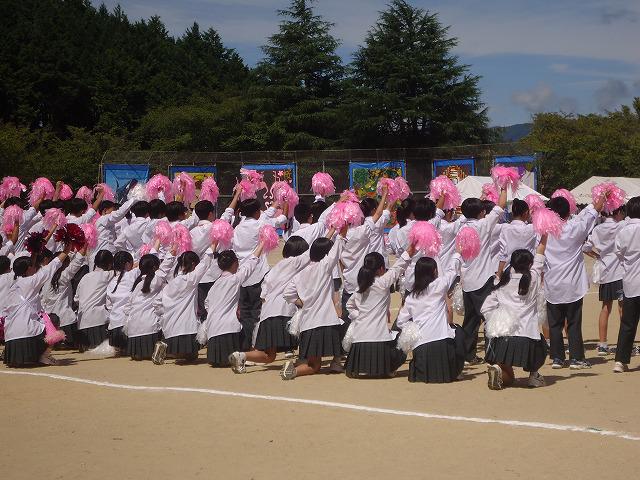 DSC02464.jpg