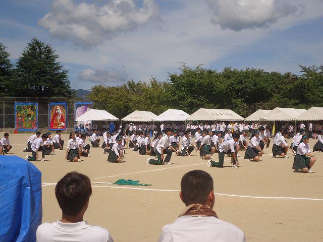 DSC02467.jpg