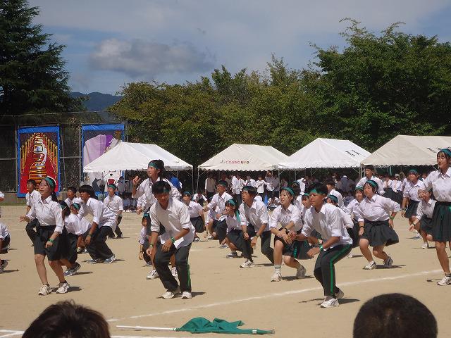 DSC02469.jpg