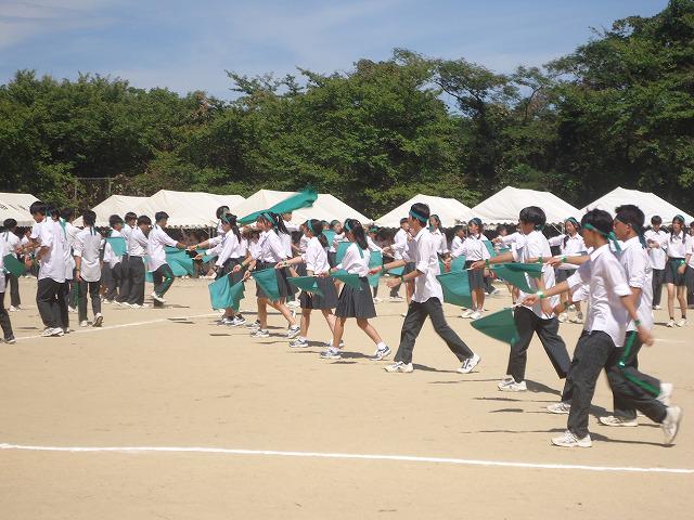 DSC02480.jpg