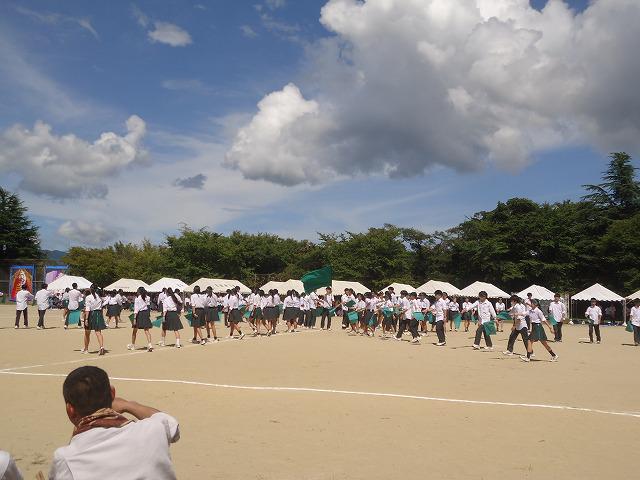 DSC02484.jpg