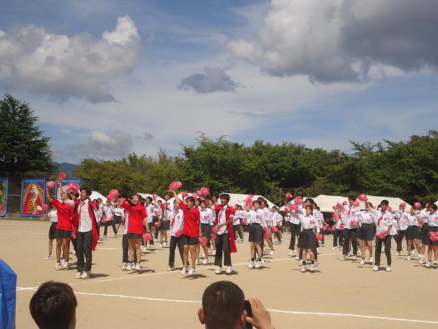 DSC02488.jpg