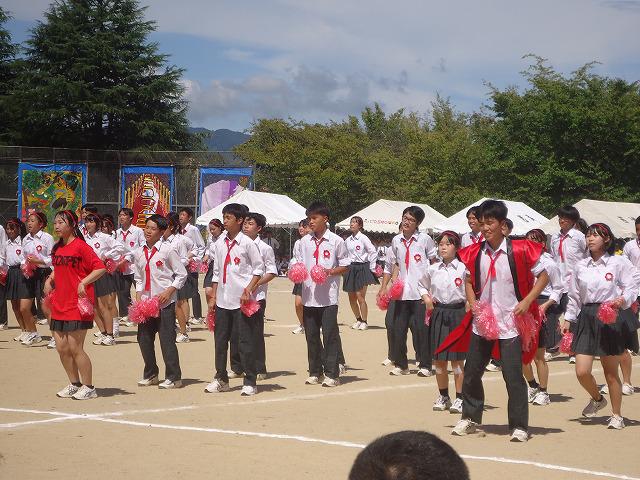 DSC02495.jpg