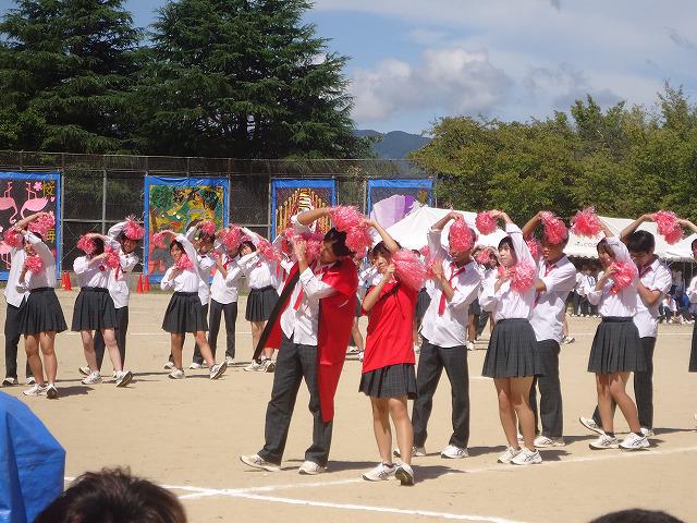 DSC02500.jpg