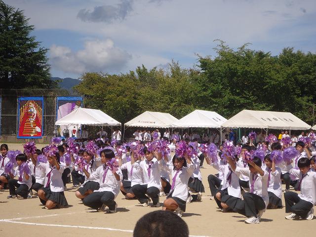 DSC02503.jpg