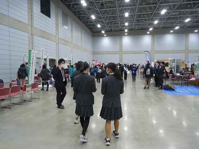 DSC02507.jpg