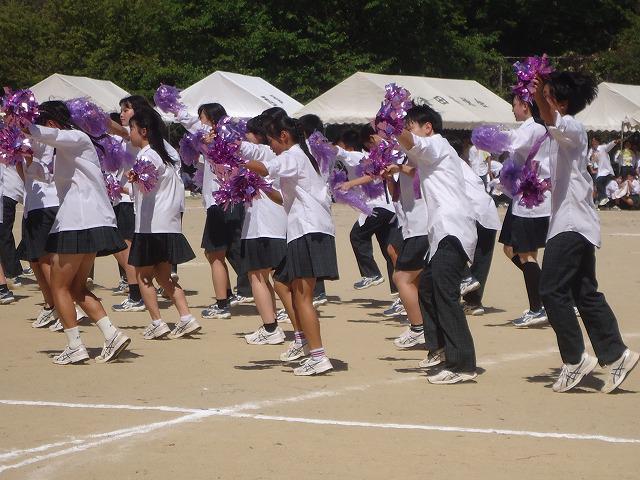 DSC02515.jpg