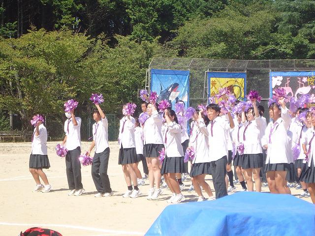 DSC02520.jpg