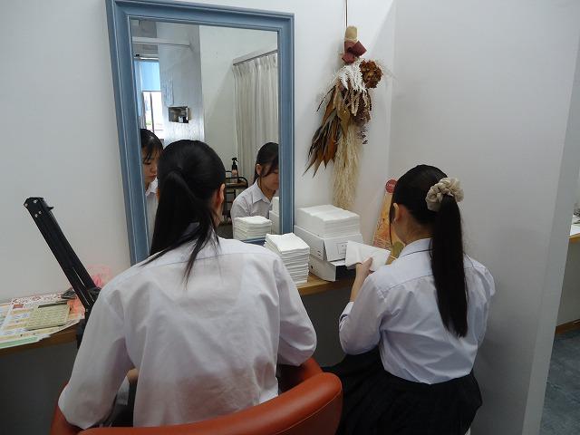 DSC02533.jpg