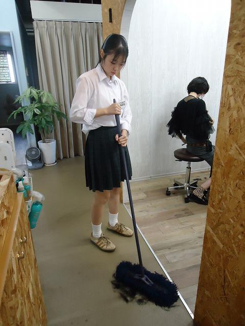 DSC02539.jpg