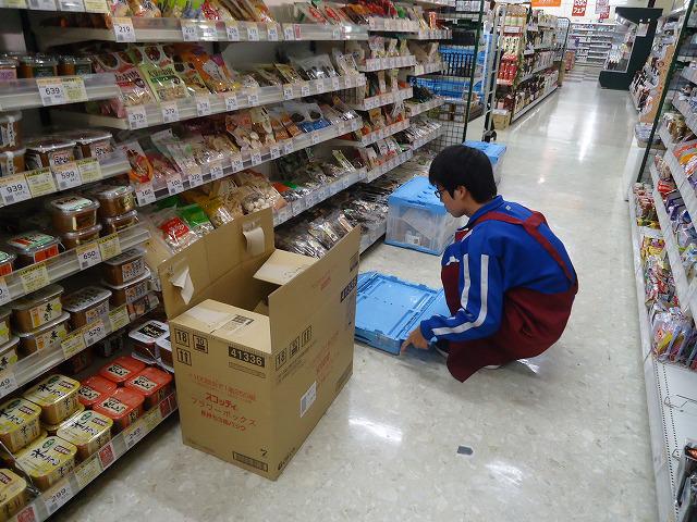 DSC02547.jpg